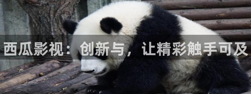 蓝莓影院免费播放电视剧大全最新更新时间